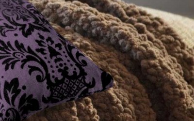 Home, Comfort, and Mallie